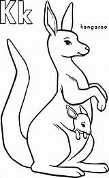 Kangaroo Coloring Coloringbay Pages sketch template