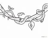 Vines Coloring Pages Getcolorings Color Jungle sketch template