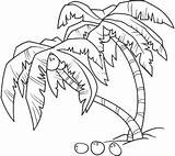 Coloring Palm Pages Tree Coconut Branch Drawing Colouring Leaves Getcolorings Getdrawings Printable Colored Colorings Color Printablecolouringpages sketch template