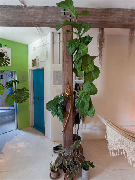 500 plants and counting in this tiny new york apartment