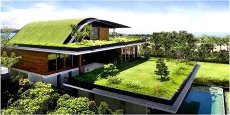 design ecologique dun jardin sur le toit  site architecte