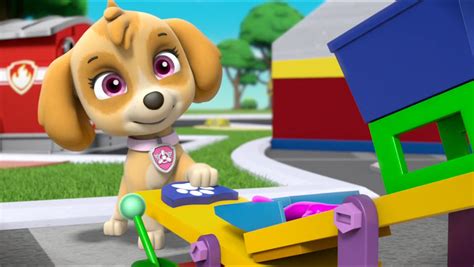 skye the cockapoo skye paw patrol photo 40719602 fanpop