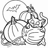 Pumpkin Cat Coloring Halloween Bat Fall sketch template