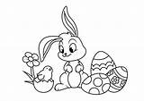 Conejos Conejo Pascua Quieres Echa Vistazo Adorables sketch template