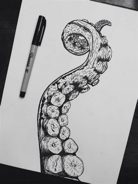 draw drawing great ideas octopus painter pencil    tumblr image