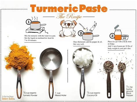 turmeric helps prevent cancer  arthritis  pets recipe petnblog