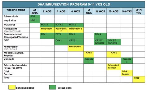 updating  childs vaccination records childrens oasis