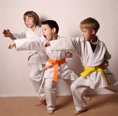 kids  karate training martial artssport active lifestyle