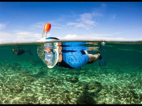 tribord easybreath snorkeling mask review breathe   fish cruising sea