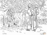Fig Tree Parable Coloring Barren Pages Clipart Children Jesus Kids Activities Bible Drawing Trees Popular sketch template