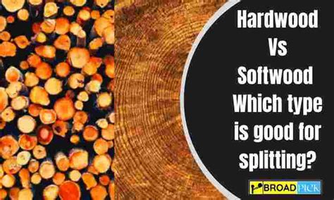 hardwood vs softwood trees which type is good for splitting