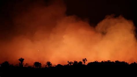 amazon rainforest fires world concern rci english