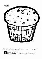 Muffin Coloring Muffins Pages Edupics Colouring Printable Popular Coloringhome Large sketch template