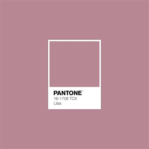 pantone   tcx lilas color palette collection