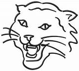 Wildcat Coloring Pages Logo Wild Cat Colouring Clipart Scottish Wildcats Stanley Flat Clip Musical School High Drawing Step Draw Cliparts sketch template