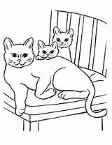 Katzenfamilie Ausmalbild Ausmalbilder Katzen Katze sketch template