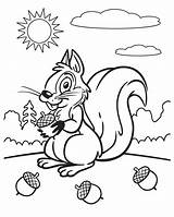 Acorns Squirrel Saving sketch template