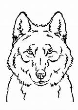 Loup Chien Loups Buzz2000 Coloriages sketch template