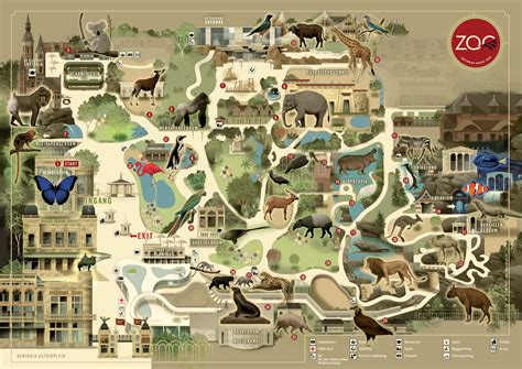 love  antwerpen zoo zoo map zoo antwerp antwerp pinterest antwerp  zoos