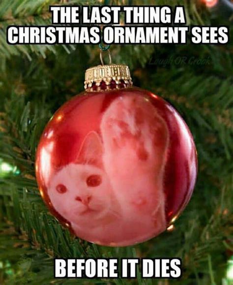 hilarious christmas memes  share   social media