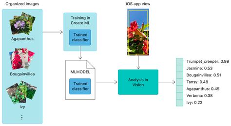 training  create ml model  classify flowers apple developer documentation