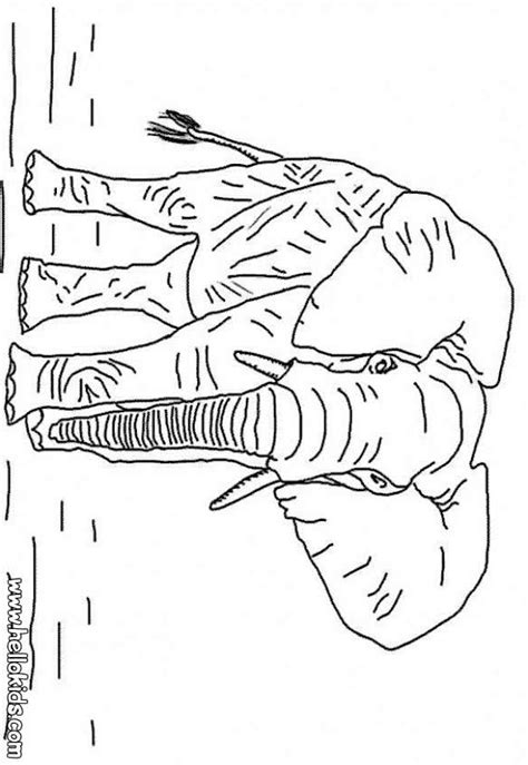 african elephant coloring pages hellokidscom