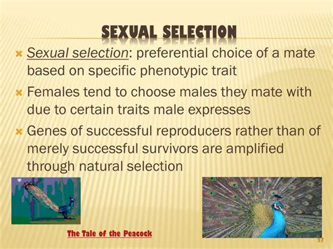 Ppt The Evolution Of Populations And Speciation Powerpoint