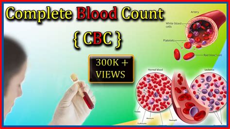 cbc blood test complete blood count test  harib diagnostic lab youtube