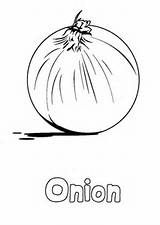 Onion Vegetable sketch template