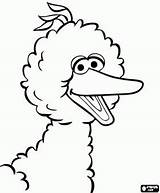 Bird Sesame Elmo Getdrawings sketch template