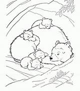 Coloring Bear Pages Animals Sleeping Hibernating Kids Little Animal Big Wild Drawing Woods Brown Den Color Smokey Printable House Sheet sketch template