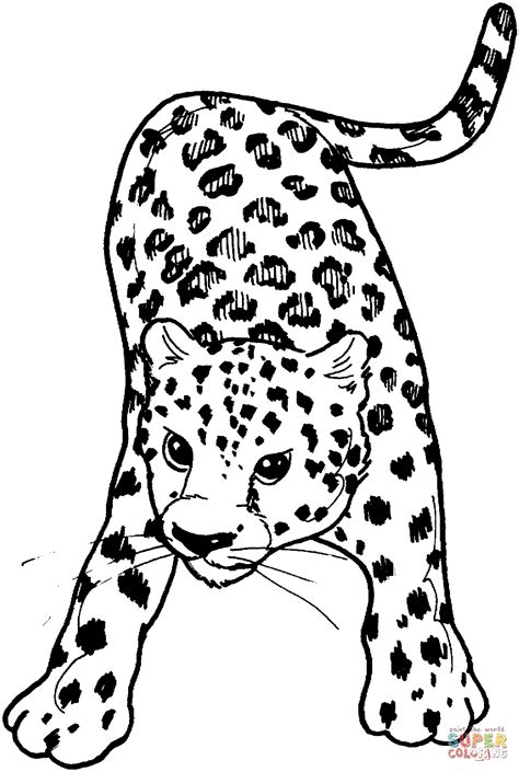 ausmalbild leopard  ausmalbilder kostenlos zum ausdrucken