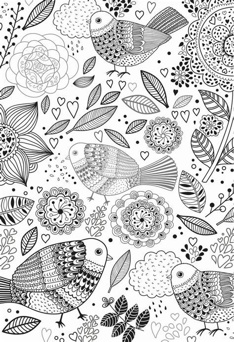 pin   popular coloring page  adults