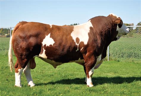 phs polled worldwide  sm repromax