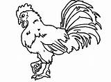 Coloring Pages Rooster Turkey Leg Printable Animal Farm Adults Color Drawing Getdrawings Animals Cooked Trends Getcolorings Print Simple sketch template