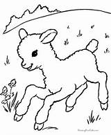 Easter Coloring Pages Lambs Lamb sketch template