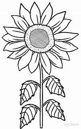Sunflower Coloring Pages Printable Flower Kids Stencil Cool2bkids Pattern Drawing sketch template