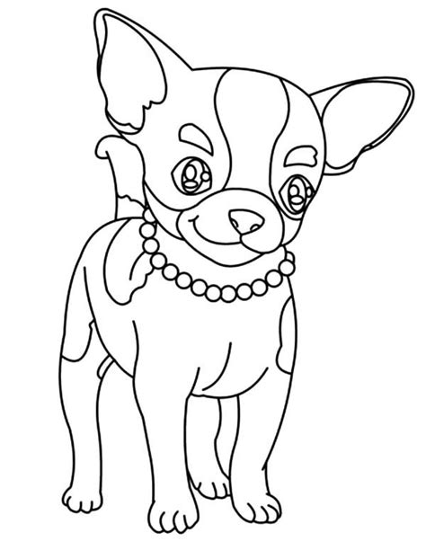 chihuahua coloring pages coloring home