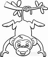 Monkey Clipart Clip Outline Hanging Tree Cartoon Animals Drawing Classroom Coloring Animal Tattoo Jungle Cliparts Cute Monkeys Tattoos Clipartix 1919 sketch template