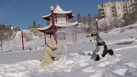 snow dogs youtube