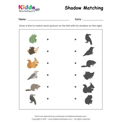 shadow matching worksheet crafts  worksheets  preschool toddler