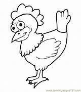 Coloring Pages Template Sprout Chica Chicken Sketch Chicks Hens sketch template