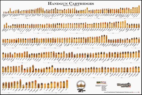 ammo  gun collector ammunition comparison visual guide bullet