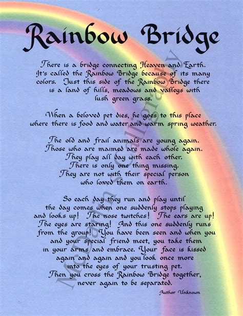 printable rainbow bridge poem printable party palooza