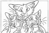 Cats Warriors Coloring Pages Printable Wonder sketch template