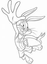 Jam Bunny Bugs Daffy Tweety sketch template