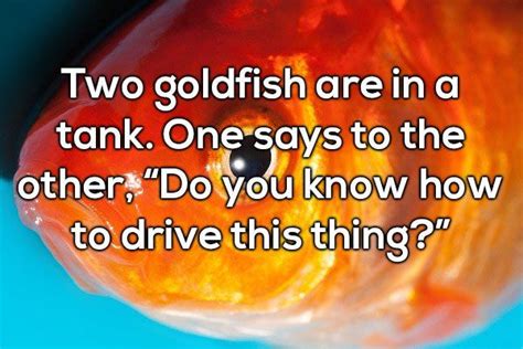 dad jokes that will make you cringe and then call your pops 20 pics