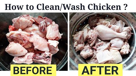 clean chicken   cleanwash