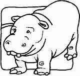 Coloring Pygmy Hippopotamus Drawings Hippo Pages sketch template