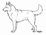 Husky Dog Outline Coloring Drawing Siberian Clipart Pages Lineart Dogs Deviantart Puppy Silhouette Drawings Kennels Sedillo Template Puppies Library Cliparts sketch template